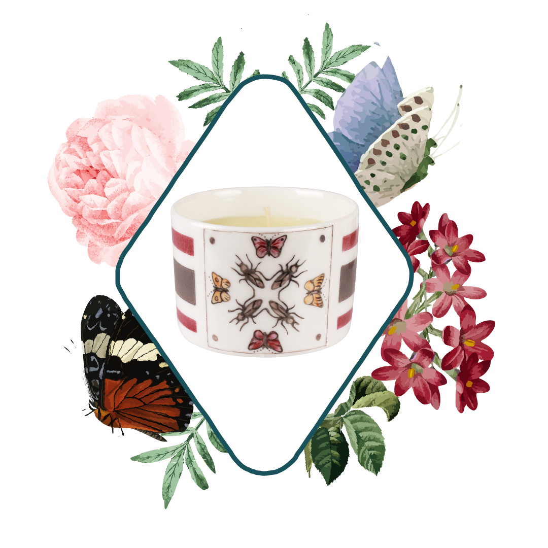 Bougie Parfumée - Exotica